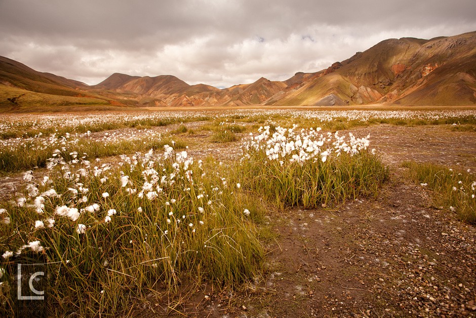 2012_08_28_Landmannalaugar_2b_1047 Kopie