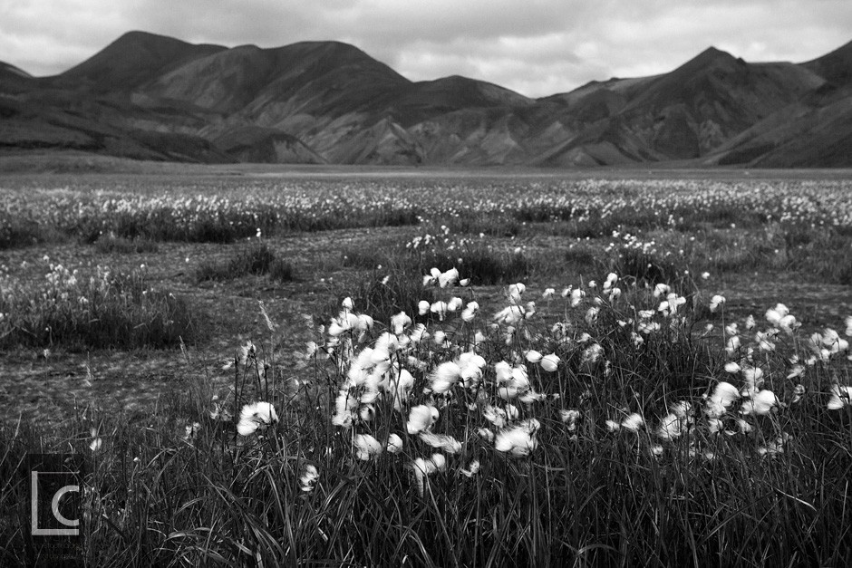 2012_08_28_Landmannalaugar_3_1057 Kopie