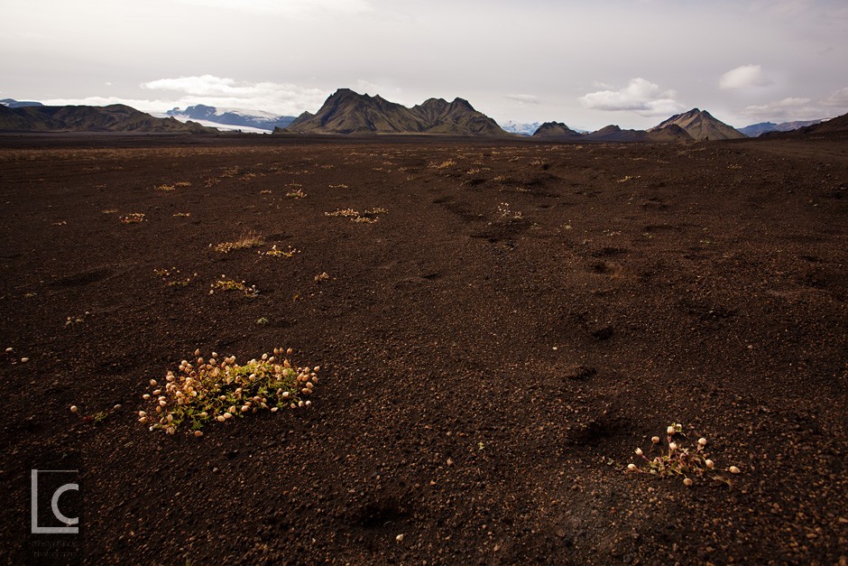 2012_08_30_Laugavegur_1620 Kopie