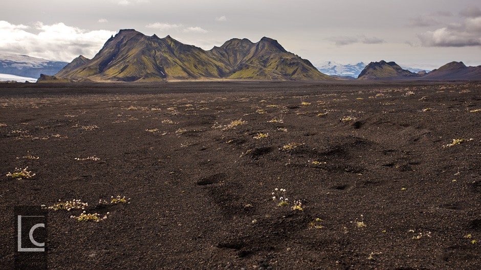 2012_08_30_Laugavegur_Dessert_1615 Kopie