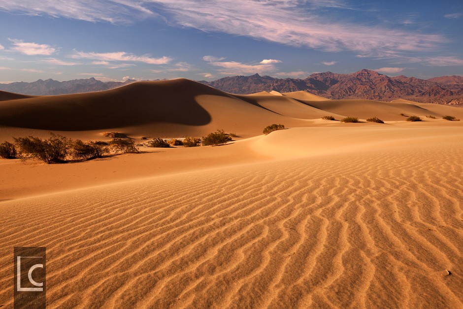 2013_06_11_Mesquite_Sand_Dunes_1_1682 Kopie
