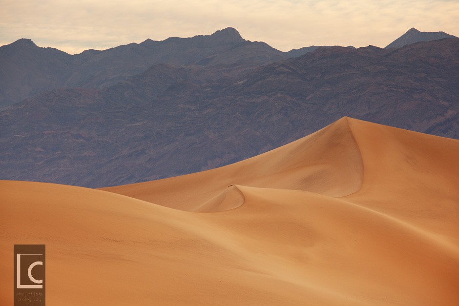 2013_06_12_Mesquite_Sand_Dunes_1_1831 Kopie