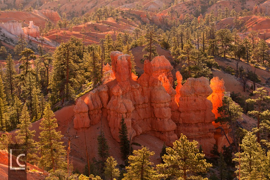 2013_06_14_Bryce_Canyon_2_2268 Kopie