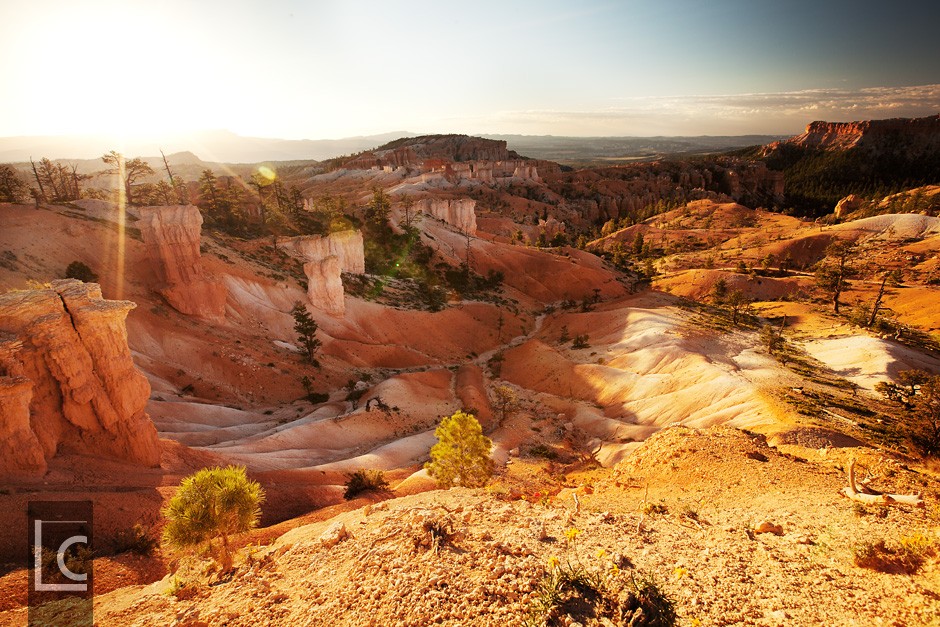 2013_06_15_Bryce_Canyon_3_2589 Kopie