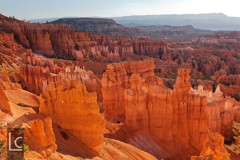 2013_06_16_Bryce_Canyon_1_2651 Kopie