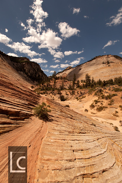 2013_06_16_Zion_1_2692 Kopie