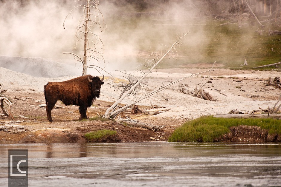 2013_06_21_4729_Yellowstone_1 Kopie