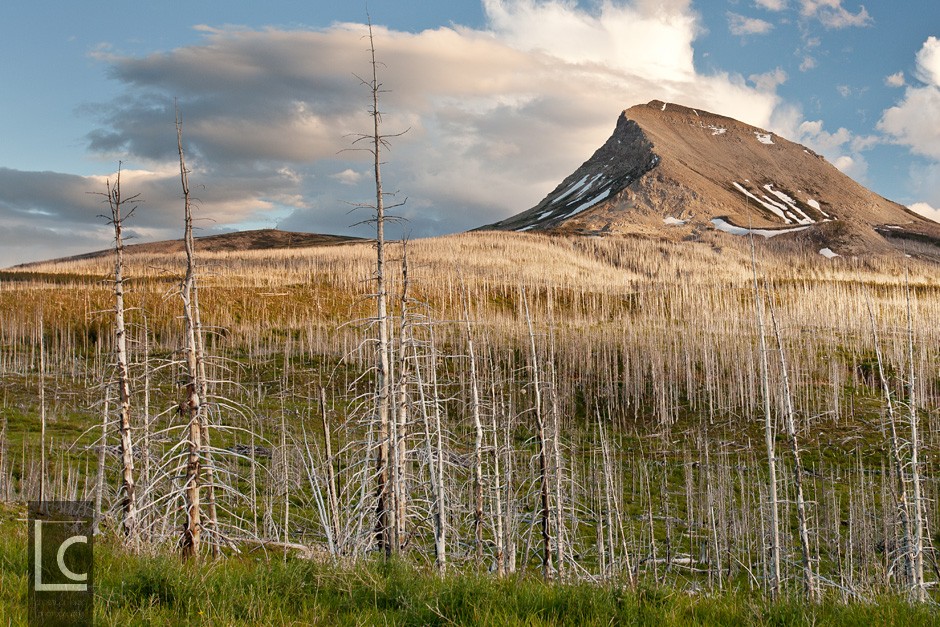2013_06_22_5104_Glacier_NP Kopie