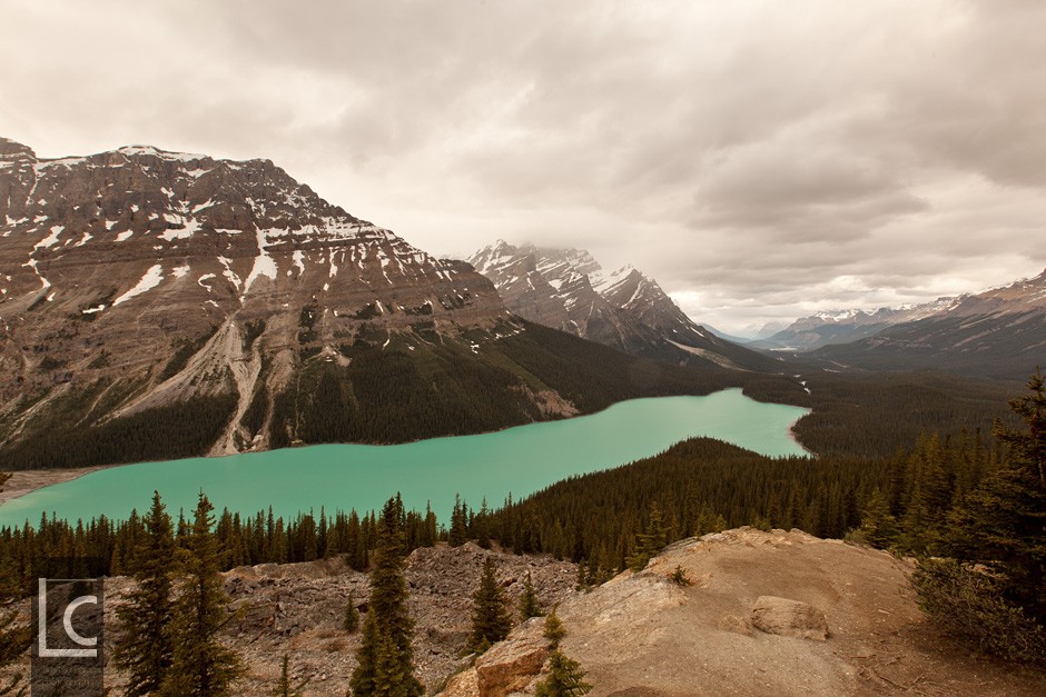 2013_06_24_5403_Peyto_Lake_2 Kopie