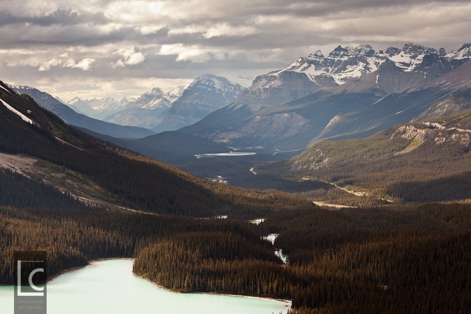 2013_06_25_5654_Peyto_1 Kopie