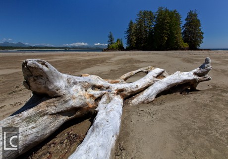 2013_07_03_6913_Vancouver_Island_Beach Kopie